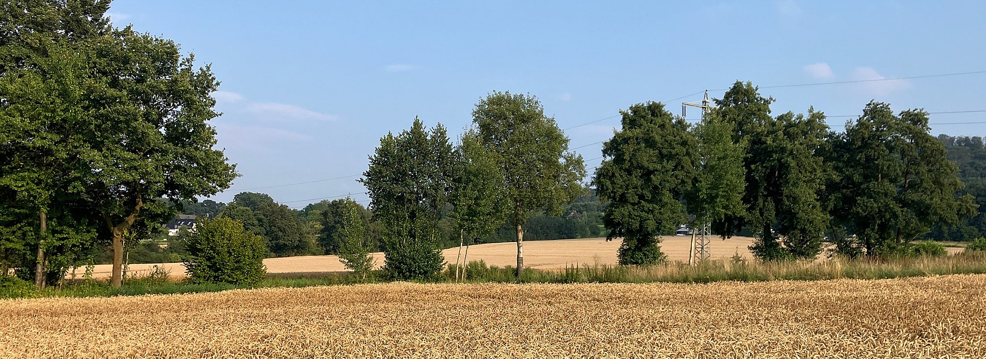 Impressionen aus Langenberg